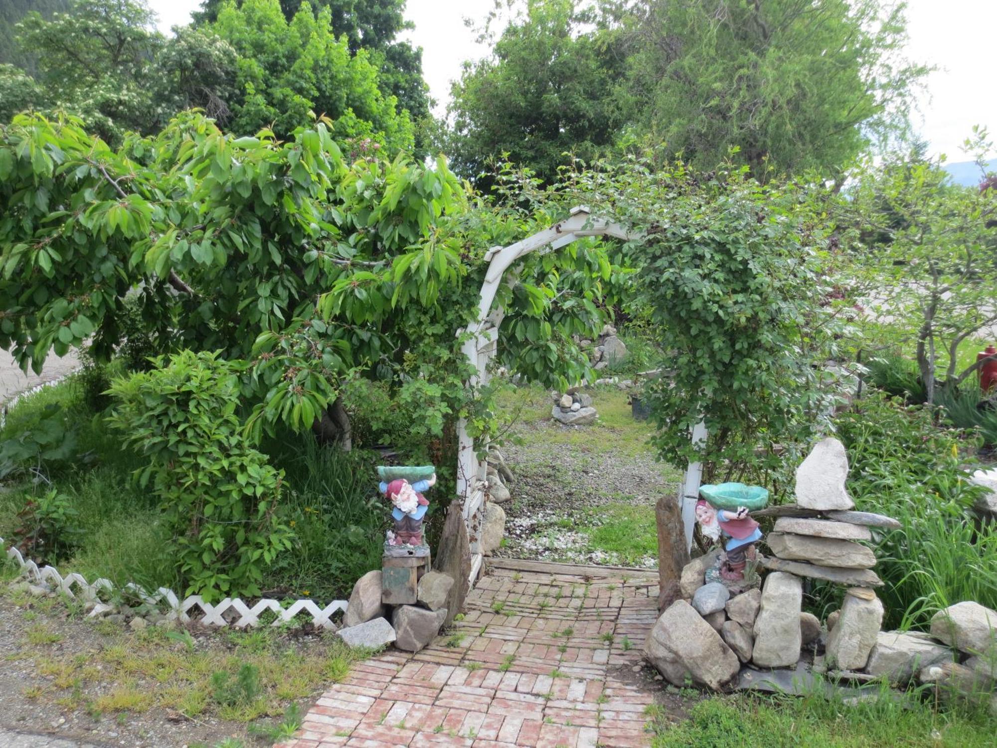 Country 3*
